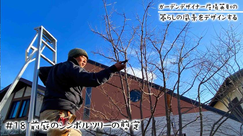 #18シンボルツリーの剪定.jpg