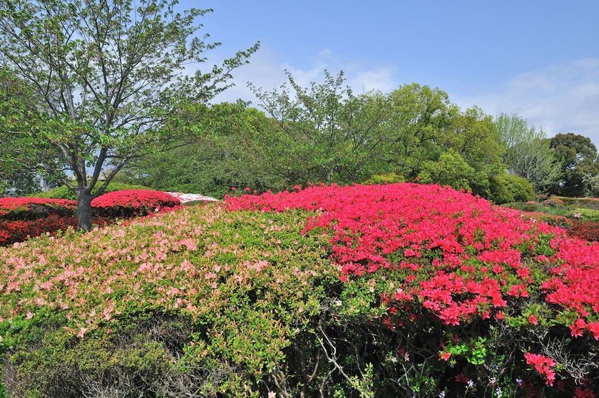 DSC_1412.jpg