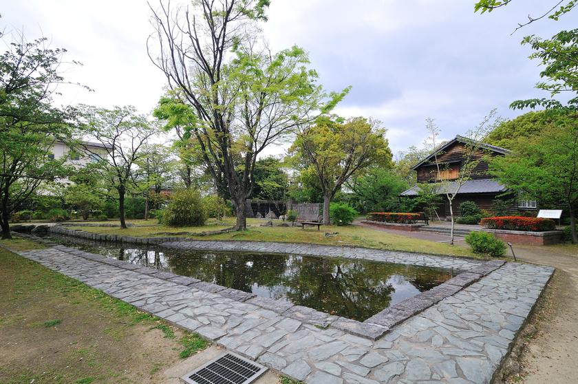 DSC_1468.jpg