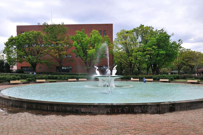DSC_1505.jpg