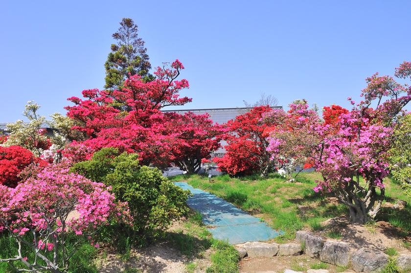 DSC_1947.jpg