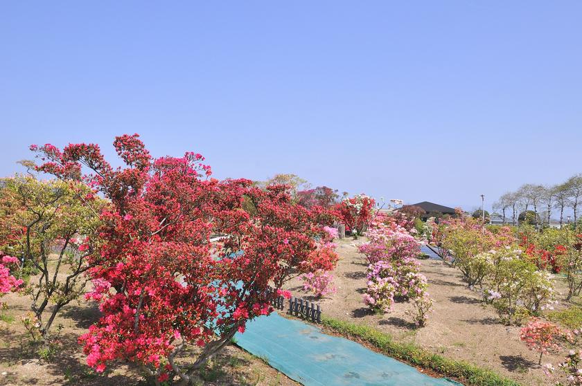 DSC_1972.jpg