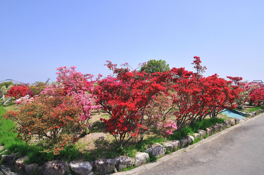 DSC_1975.jpg