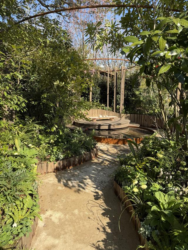 IMG_0927.jpeg