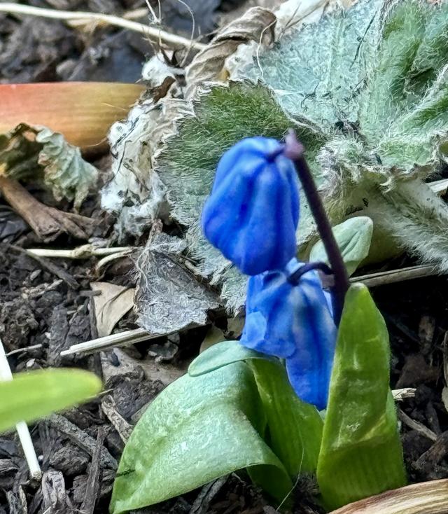 IMG_4448.jpeg