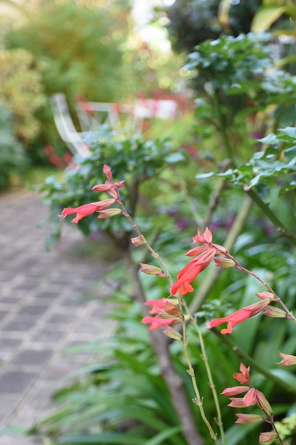 DSC_4896.JPG