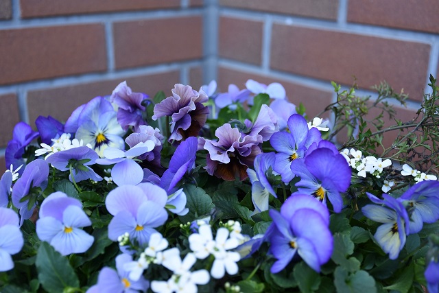 DSC_6034.JPG