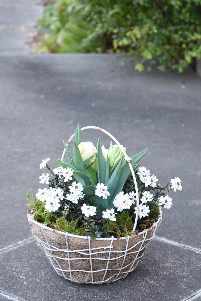 DSC_8907.JPG