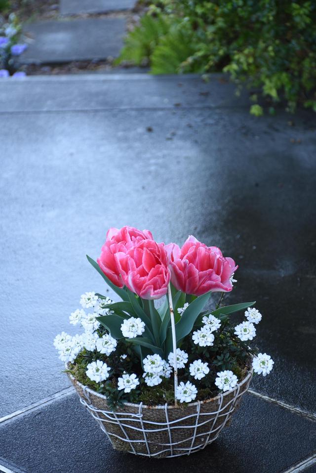 DSC_9918.JPG