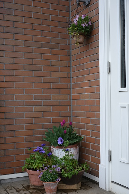 DSC_1641.JPG