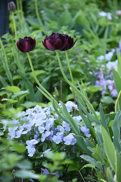 DSC_2262.JPG