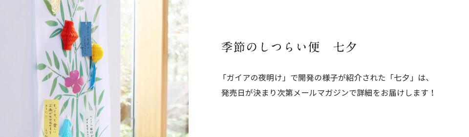 テレビ東京『ガイアの夜明け』で紹介されました