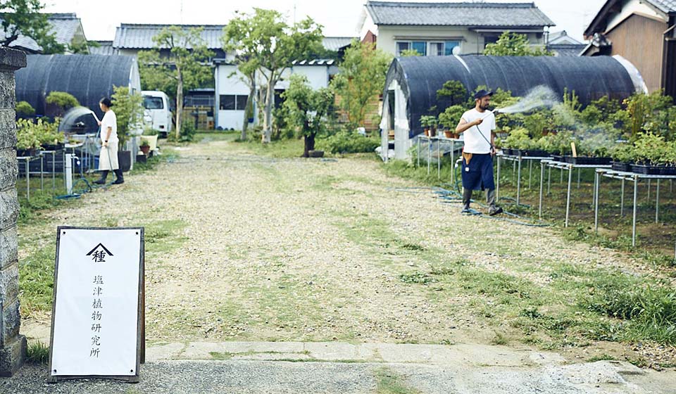 大和路 暮らしの間 第六回企画展「橿原の盆栽」 開催期間:8月10日(土)~9月6日(金)