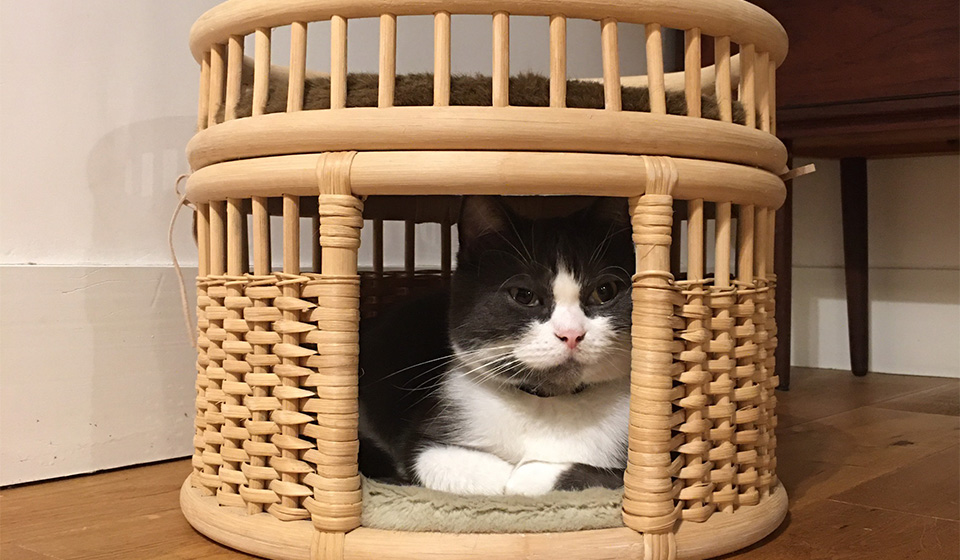 猫のすみか兼、私のサイドテーブル代わりです。ツルヤ商店のnejiro