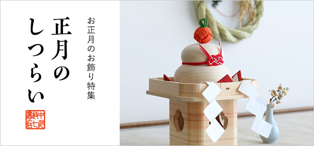 テレビ東京『ガイアの夜明け』で紹介されました